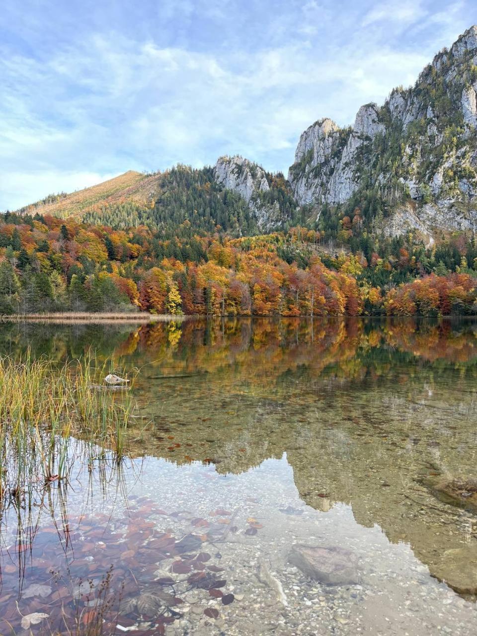 Pension Schindlau Scharnstein ภายนอก รูปภาพ